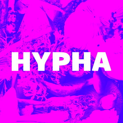 Psychodelic magenta hypha in background. Text reads "HYPHA"