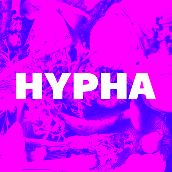 Psychodelic magenta hypha in background. Text reads "HYPHA"