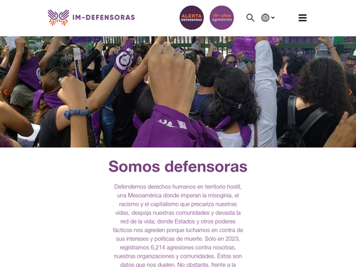 Foto de muchas mujeres con sus puños alzados en una manifestación, vistas desde sus espaldas y con varios pañuelos violetas predominando